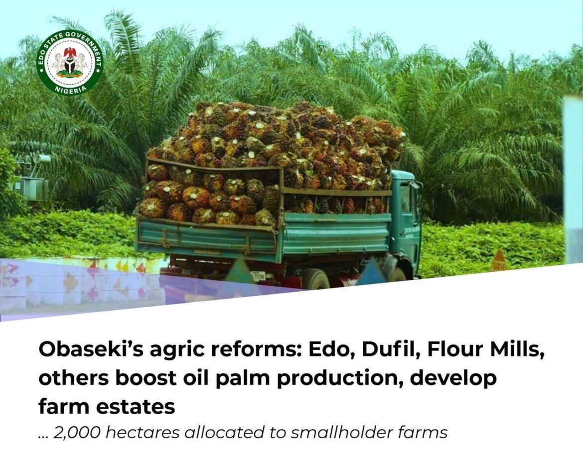 Obaseki’s agric reforms: Edo, Dufil, Flour Mills, others boost oil palm production, develop farm estates
